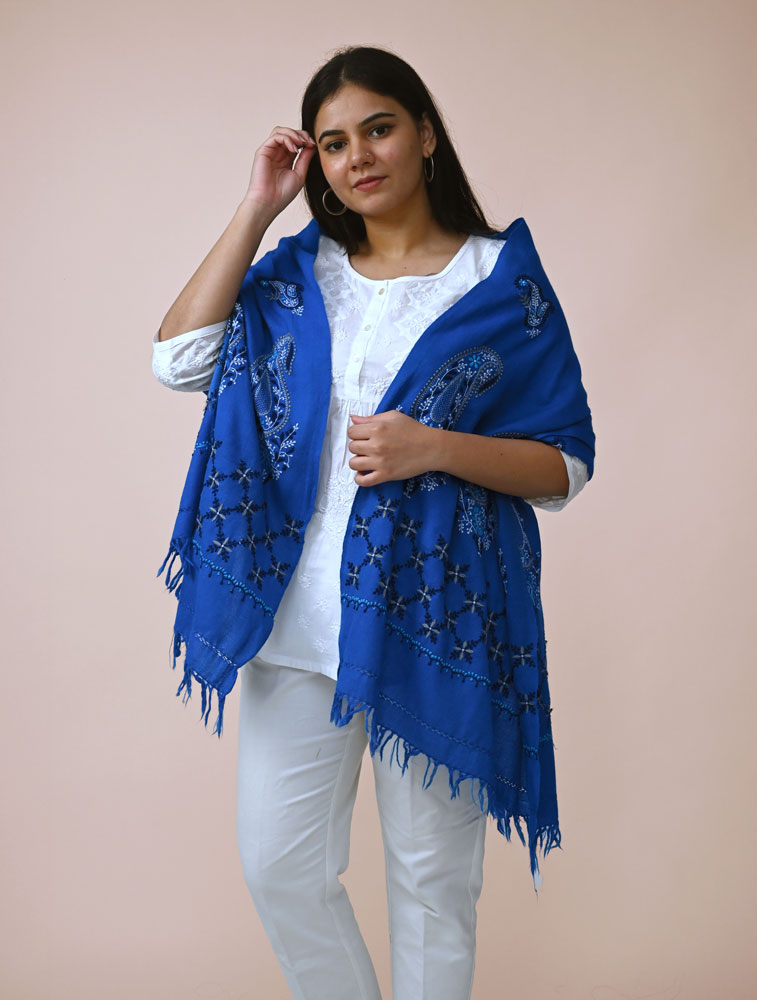 Blue Woollen Stole with Hand Embroidered Chikankari Back Image