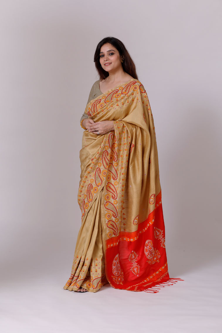 Raw Silk & Soft Silk Contrast Saree with Chikankari Main Image