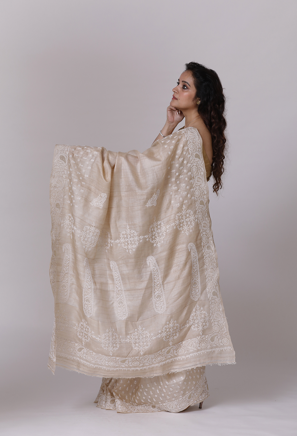 Natural Beige Tussar Silk Saree with Chikankari Back Image