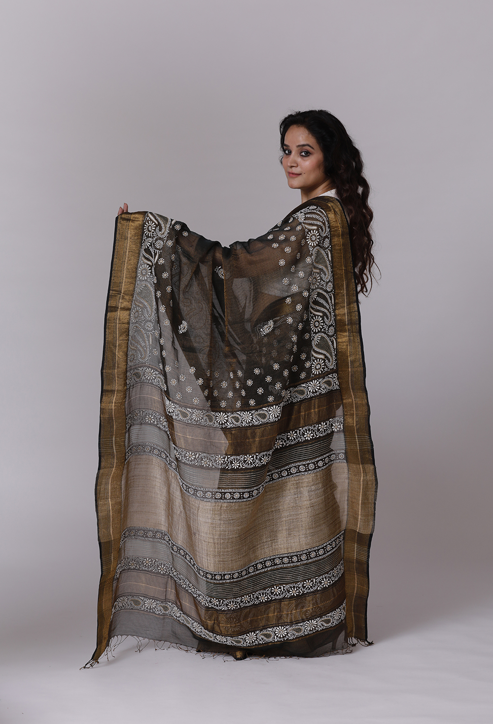 Black Tissue Maheshwari Saree with Chikankari Back Image