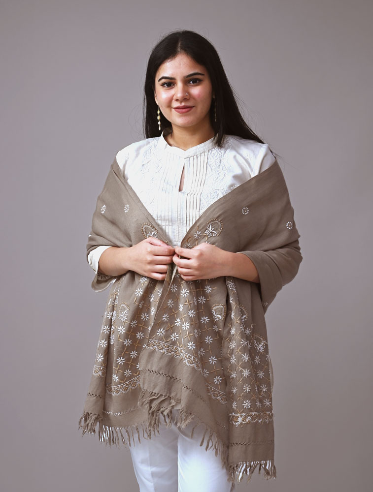 Beige Woollen Stole with Hand Embroidered Chikankari Main Image
